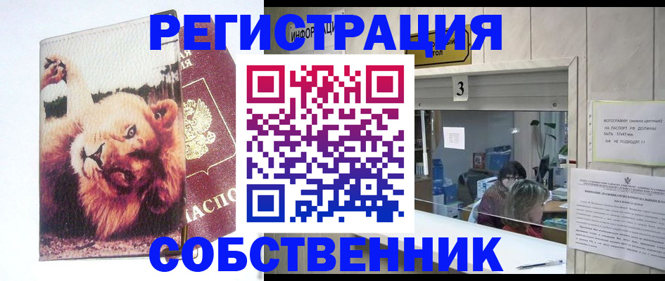 прописка поиск в Новоалтайске